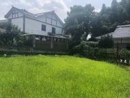 木槿花開：撿拾童年的地帶皮