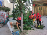 凤阳县板桥镇：“三部曲”谱写乡风文明新篇章