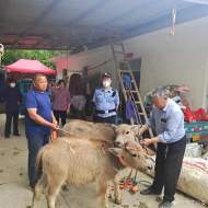 奋进新征程 建功新时代|守护在一线的庐江民辅警