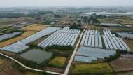奋进新征程 建功新时代|肥东县响导乡赵亮社区：党建引领助力乡村振兴