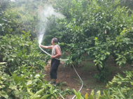 歙縣街口鎮(zhèn)：裝上抗旱抽水電表，3000畝茶桔作物等來(lái)“及時(shí)雨”