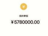 用百万余额截图骗取信任 他骗了熟人200余万元