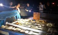 男子15日內(nèi)瘋狂盜竊柴油2000余斤 銷贓時(shí)被桐城警方抓獲