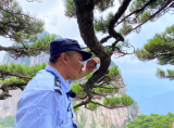 胡晓春：像守护亲人一样守护迎客松