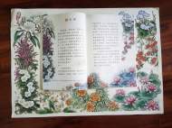 “安徽連環(huán)畫夫婦為語文教材畫插圖”視頻走紅 聽其講述創(chuàng)作背后的故事