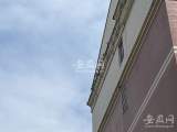 合肥和煦园小区一住户多年养鸽子  物业、社区等回应