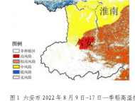  六安：一季稻高溫熱害氣象風險等級為中到較高風險、局部高風險