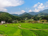紅土地上看今朝｜偏僻小山村大力發展旅游 “變身”客家民俗風情村