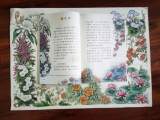 “安徽连环画夫妇为语文教材画插图”视频走红