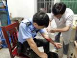 舒城：野猪袭来 派出所所长用身体挡下村民后被咬伤