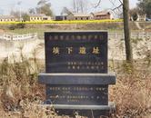 储先亮：楚人一炬