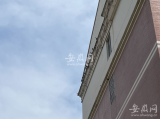 “合肥一小区住户养鸽子”后续：多次上门劝导，已将鸽子转移