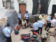 無人機助力偵查破案 13只國家二級保護動物被解救