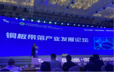 铜陵：补链固链强链 打造世界级铜产业集群