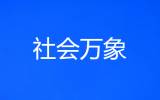 货车上掉下一只猪  私家车径直撞上致“两败俱伤”