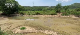 氣象干旱預警已連發34天 南方多地旱情持續