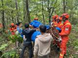直击四川泸定地震｜村民牵着骡子帮消防员运帐篷