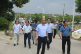宜秀区罗岭镇：厚植人才沃土 助力乡村振兴