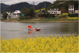 下足“绣花”功夫 绘就新安画廊新图景