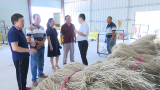 开展食材寻源调研活动  促进淮南牛肉汤品牌升级
