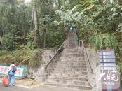 因降雪部分樹木倒伏  合肥大蜀山公園 2月8日起臨時封閉