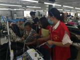 褚集镇持续推广“国家反诈中心”APP注册，守好群众“钱袋子”