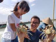 五河：已到螃蟹收獲季