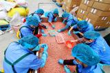 巢湖市夏閣鎮：“小花生”成了致富“金豆豆”