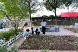 种植百草、农场采摘、烹饪菜肴…… 合肥这些学校的劳动课真有趣