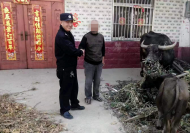 霍邱：村民兩頭水牛不見(jiàn)了，警民徹夜尋找