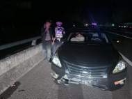 六安：野豬竄上高速被撞死亡 車損較重