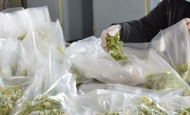 冷藏預(yù)制菜點貯存溫度應(yīng)在0℃~4℃  長三角制定的這項標(biāo)準(zhǔn)正在征求意見