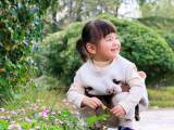 尋覓合肥別樣秋色（組圖）