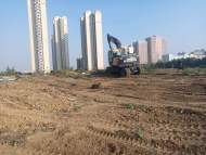 “合肥一小區旁空地變菜園”追蹤：現場已被清理 并張貼提醒告示