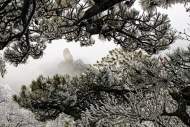 張文娟：下雪了，你在嗎？