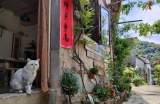 袁牧：记得住乡愁，留得住乡情