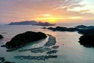 高峰：到瓦埠吃“湖水煮湖魚”