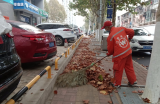 合肥蜀山区 ：清扫路面落叶 维护城市环境