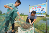 怀宁马庙镇：多措并举发展壮大村级集体经济助推乡村振兴 