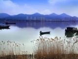 环巢湖湿地保护修复入选2022年度长三角地区林长制改革十大案例