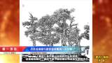 名家对话！古徽派版画与新徽派版画有了一次深度交融