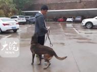 江西15歲高中生失聯事件提級調查 民間團體搜救犬校內發現三處可疑點