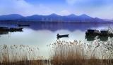 巢湖将建一批生态湿地恢复示范工程