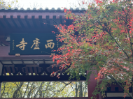 马传耿：到紫蓬山赶庙会