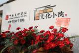 安巢经开区：艺术赋能 绘就乡村振兴“新篇章”