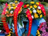 英雄长眠，精神永存  “我从包公家乡来”采访团祭奠孟鸣之烈士