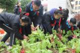 鳳二小教育集團(tuán)：迎豐收“小小菜園”歡樂多