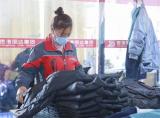 安徽阜阳：帮扶小车间实现产业大振兴