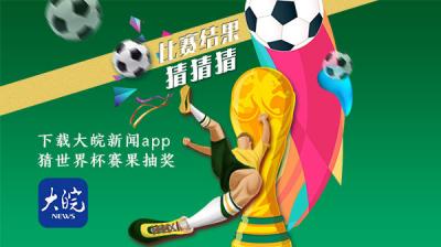 世界杯8强战：荷兰VS美国