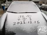 淮南下雪啦！菊花雪中绽放格外艳
